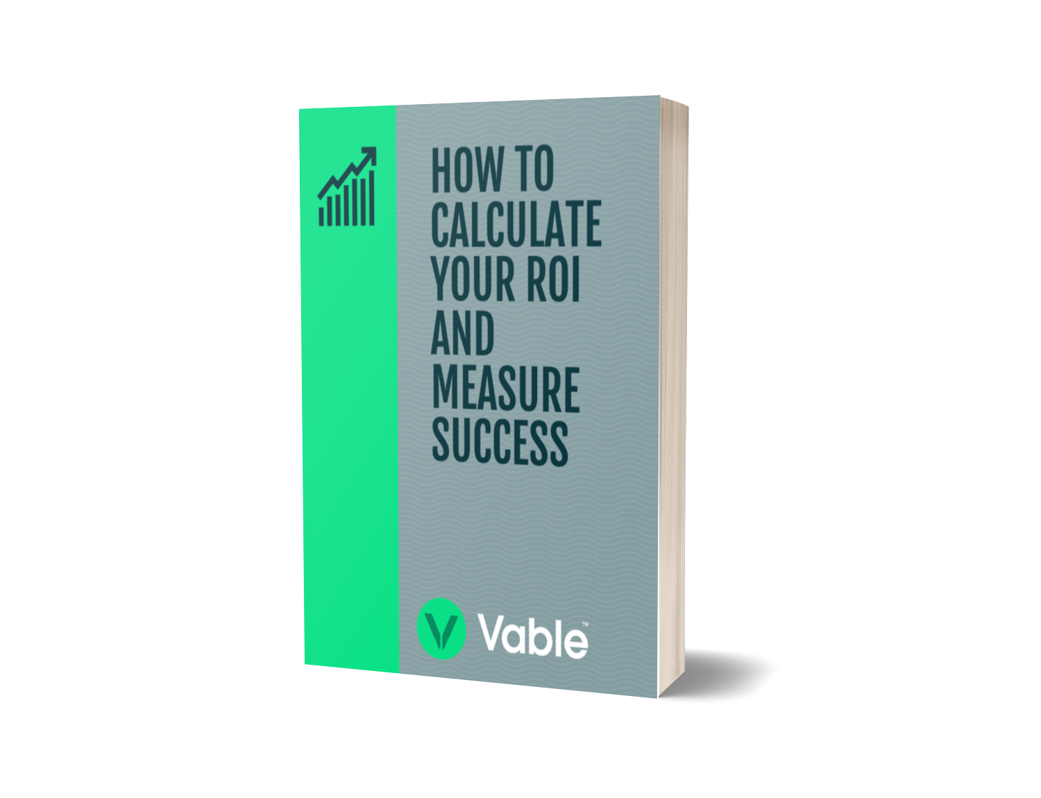 How to calculate your roi and measure success